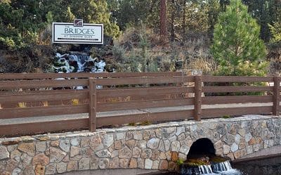 The Bridges at Shadow Glen Real Estate & Homes for Sale
